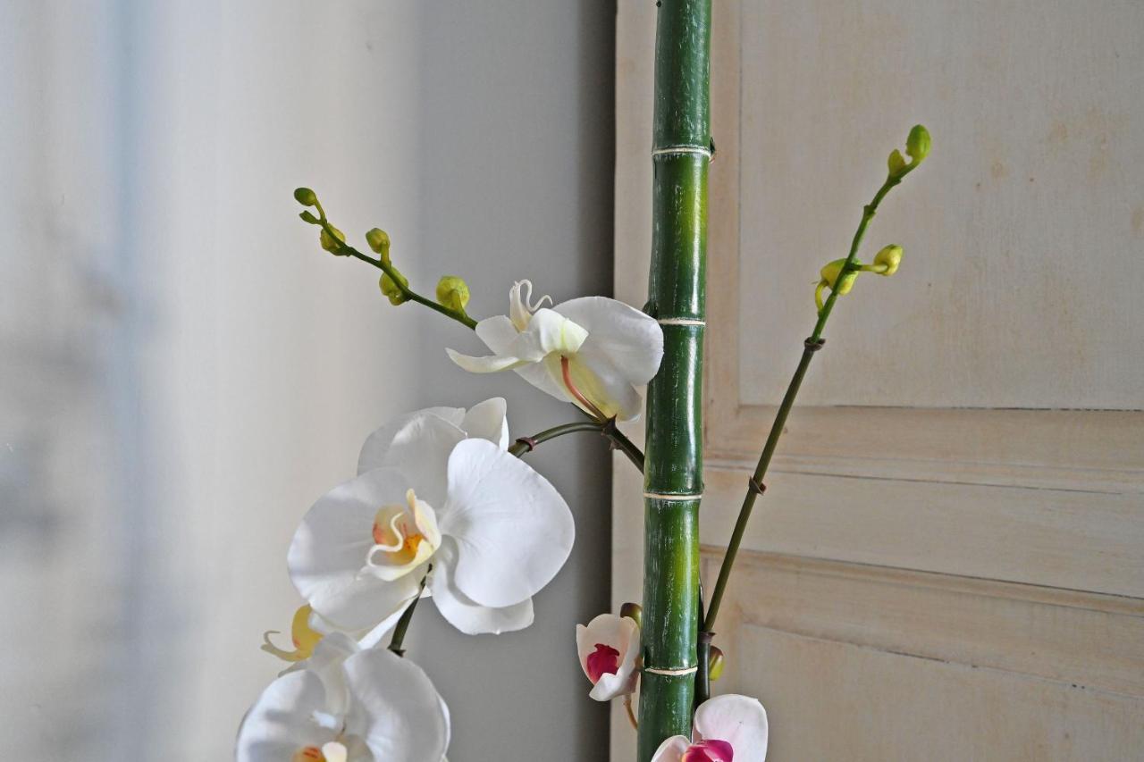 Au Coeur Des Papes, Dans Batisse De Charme Studios & Appartements En Coeur De Ville อาวีญง ภายนอก รูปภาพ